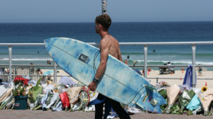 Australia announces gun buyback, day of 'reflection' after Bondi shooting