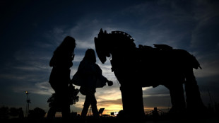 Between Homer and Hollywood: Troy a source of Turkish pride
