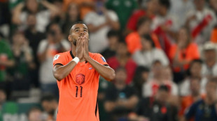 Dutch football chiefs condemn online racism after World Cup exit