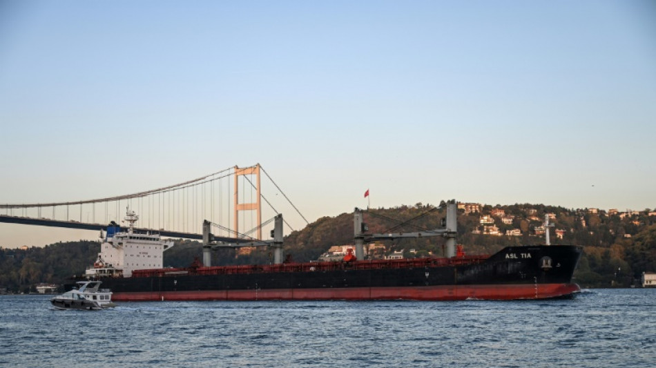 Seis buques cargados de granos salieron este jueves de los puertos ucranianos, seg&uacute;n Turqu&iacute;a