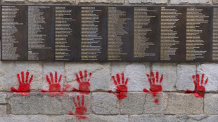 Tr&ecirc;s b&uacute;lgaros presos por pintar m&atilde;os vermelhas no museu Shoah em Paris
