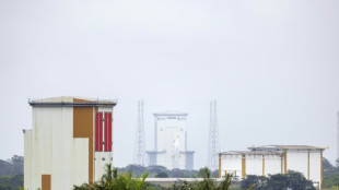 Fus&eacute;es contre biodiversit&eacute;: en Guyane, le centre spatial&nbsp;poursuivi pour "atteintes environnementales"