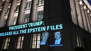 Número dos del Departamento de Justicia interroga por segundo día a cómplice de Epstein