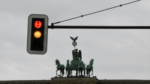 Berliner Ordnungsdienstmitarbeiter soll jahrelang ohne F&uuml;hrerschein gefahren sein