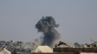 Muslim states join EU powers in backing Trump Gaza plan