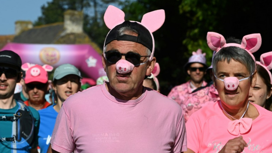 En Bretagne, une course pour valoriser le cochon, sans faire taire les pol&eacute;miques