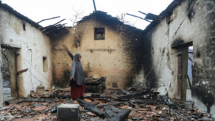 Nach verheerenden Waldbr&auml;nden: Algeriens Unterhaus billigt Todesstrafe f&uuml;r Brandstifter