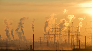Enea, Europa in 10 anni allontanata da obiettivi decarbonizzazione