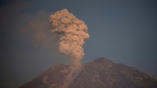Indon&eacute;sie: les &eacute;vacuations se poursuivent apr&egrave;s l'&eacute;ruption du volcan Semeru