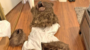 Unos estafadores de seguros se disfrazan de oso para destrozar sus veh&iacute;culos