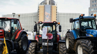 Polonia se opondr&aacute; al acuerdo UE-Mercosur, afirma un ministro