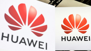 Huawei: dans l'industrie t&eacute;l&eacute;coms, la France est "plus importante que l'Allemagne"