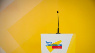 FDP fordert von Rot-gr&uuml;n Zustimmung zu Steuerentlastungen
