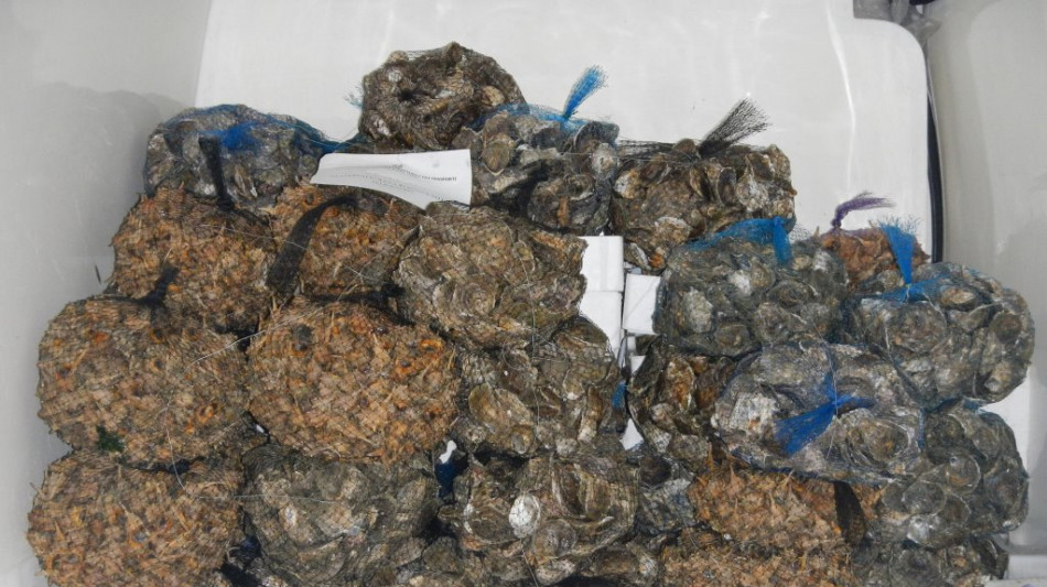 Dall'igiene dei cibi al vaccino, vademecum dell'Iss contro l'epatite A