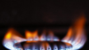 Il gas chiude in rialzo ad Amsterdam (-1,64%)