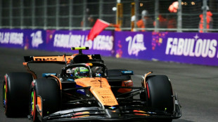 F1: Norris le plus rapide des essais libres 2 du GP de Las Vegas