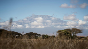 Tanzanie: l'incendie sur le Kilimandjaro est "ma&icirc;tris&eacute;"