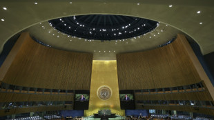 Droits de l'Homme: le travail de l'ONU confronté à une "menace existentielle", alerte une ONG