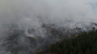 Waldbrand in Belgien droht Lage in Deutschland zu versch&auml;rfen