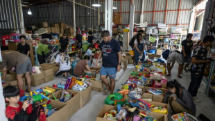Stuffed toys and surfboards: Japan used goods market booms overseas
