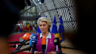 Energie: accord de l'UE sur une "feuille de route" qui reste &agrave; d&eacute;cliner 