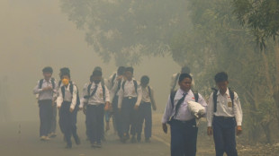President berates countries that 'insult' Indonesia over wildfires