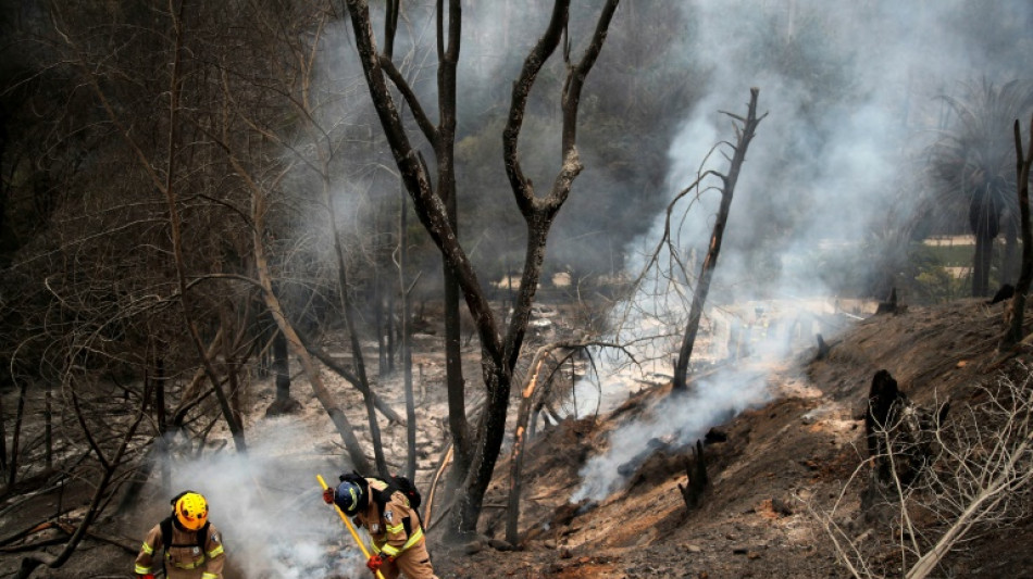 El cambio clim&aacute;tico no fue determinante en los incendios en Chile (estudio)