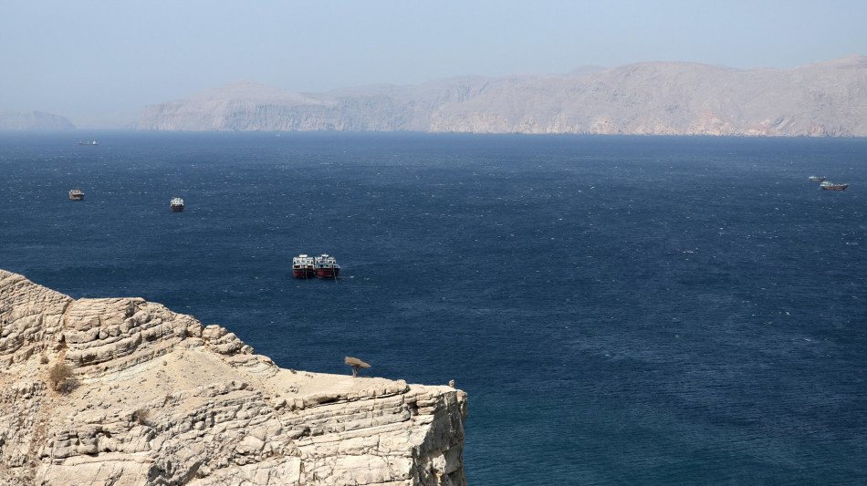 Casa Bianca, Usa non hanno scortato alcuna petroliera a Hormuz