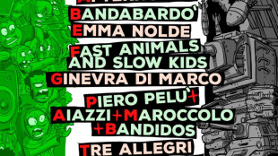 Da Pelù ad Afterhours e Bandabardò per 'Sos Palestina!'