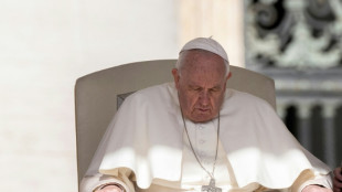 Le pape, souffrant du genou, pr&eacute;side assis l'audience du mercredi