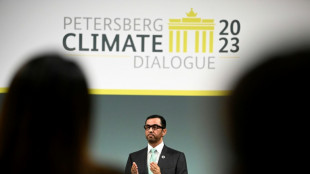 K&uuml;nftiger COP-Pr&auml;sident ruft zu Verdreifachung erneuerbarer Energien auf