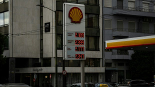 Gazole : nouveau record du prix moyen &agrave; la pompe dans l'UE (Analyse AFP de donn&eacute;es officielles)