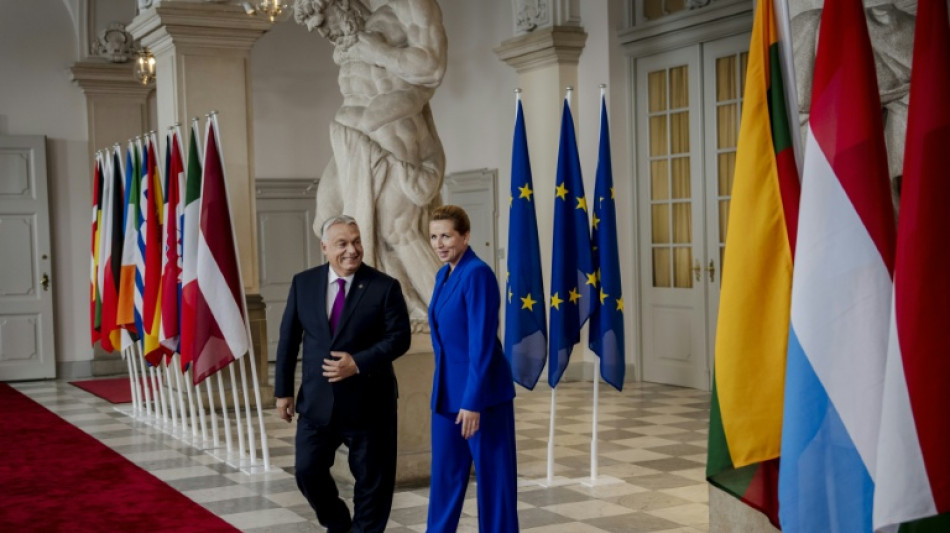 Orban: Ungarn hat "keine Alternativen" zu russischem &Ouml;l