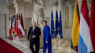 Orban: Ungarn hat "keine Alternativen" zu russischem &Ouml;l