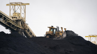 Maxi-risarcimento a societ&agrave; mineraria tedesca per il carbone