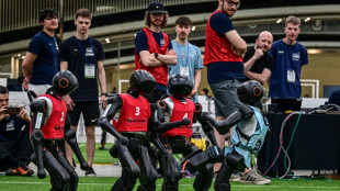 Move over, Messi! Robot footballers thrill crowds in South Korea