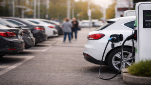 Alemania: El &laquo;boom&raquo; de los Coches el&eacute;ctricos sigue siendo fr&aacute;gil