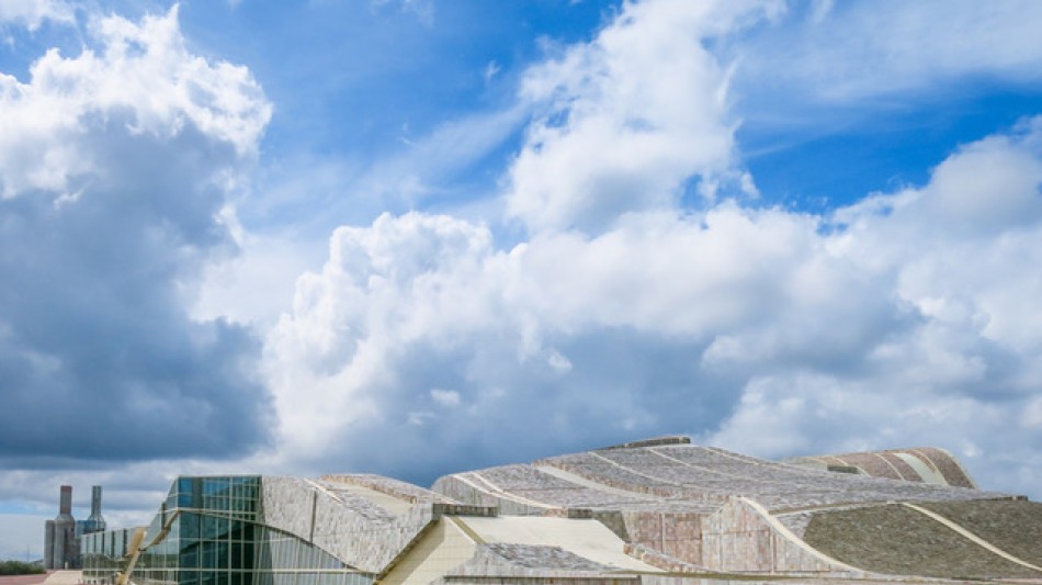 The All-American Koi Show 2026 - Experience the World's Top Koi Exhibition in Las Vegas, NV